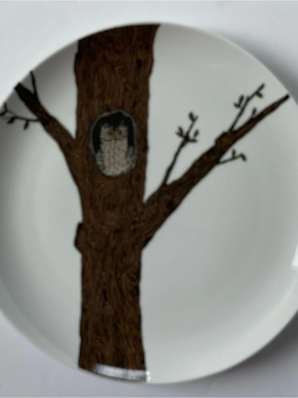 West Elm Owl Plate 8.5” Serving Art Drawing Display Bird Tree Ceramic Birding